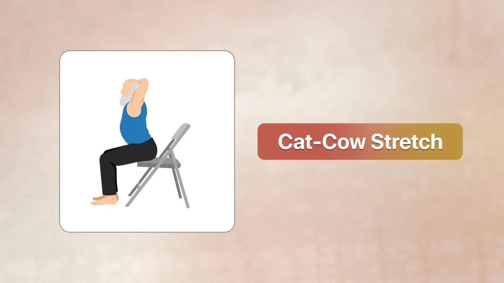 Cat Cow Stretch