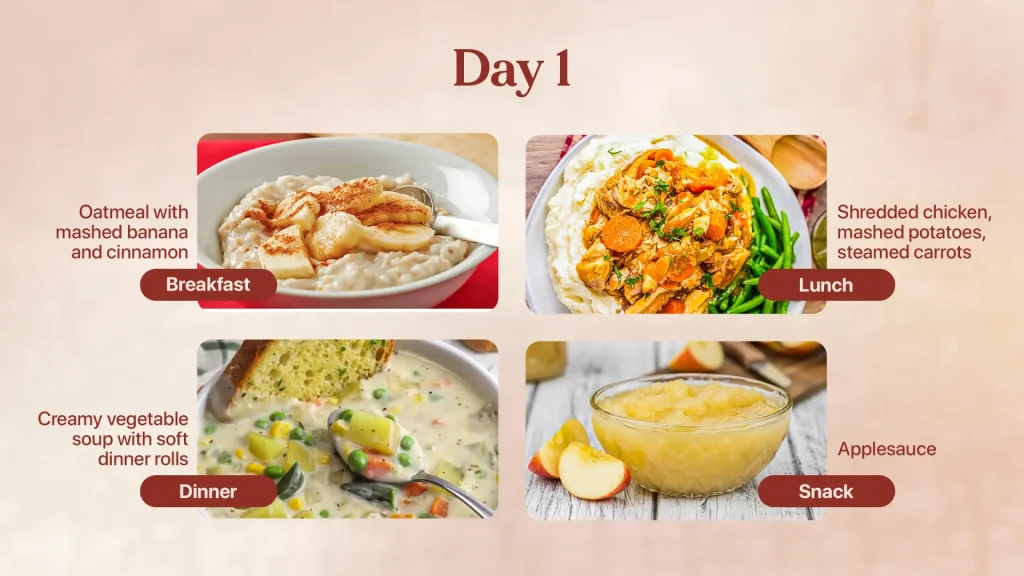 Day 1 Meal Plan for Elderly