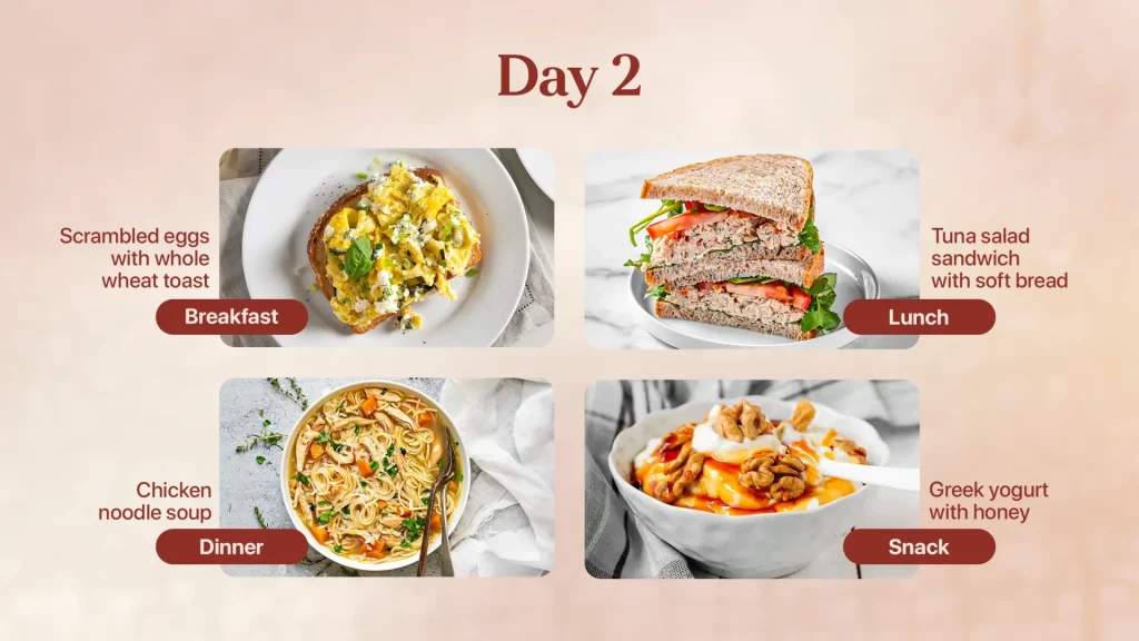 Day 2 Meal Plan for Elderly