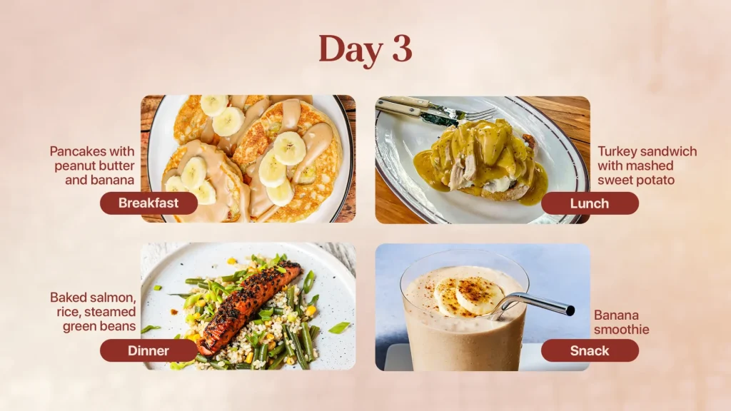 Day 3 Meal Plan for Elderly
