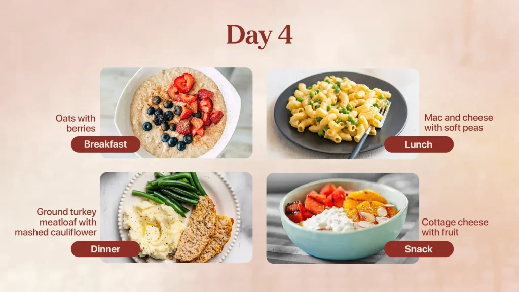 Day 4 Meal Plan for Elderly