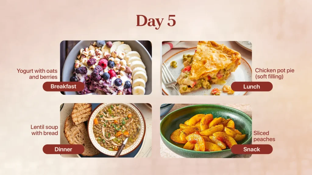 Day 5 Meal Plan for Elderly