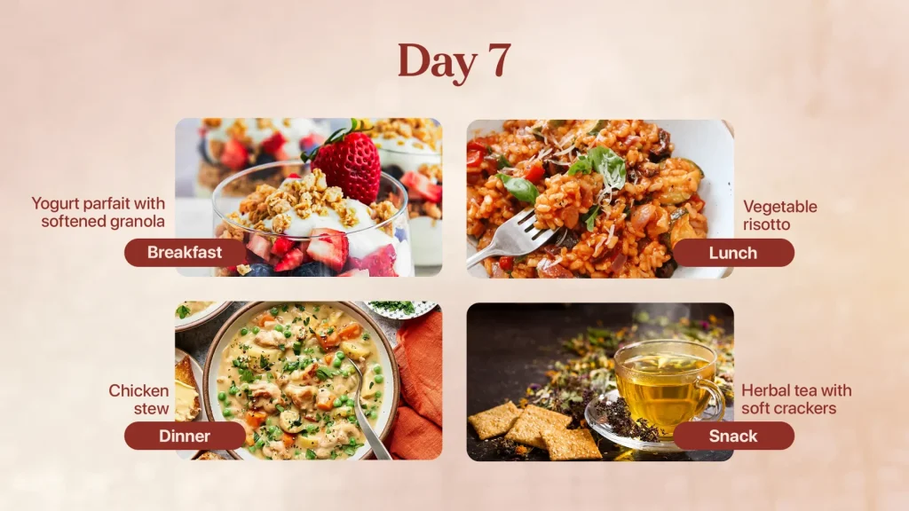 Day 7 Meal Plan for Elderly