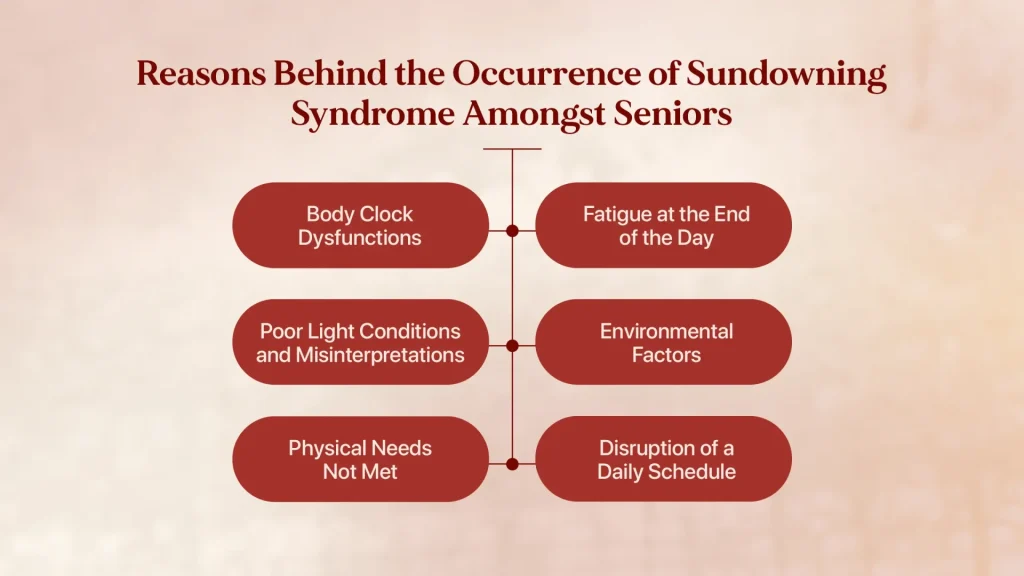 Reasons Behind the Occurrence of Sundowning Syndrome Amongst Seniors