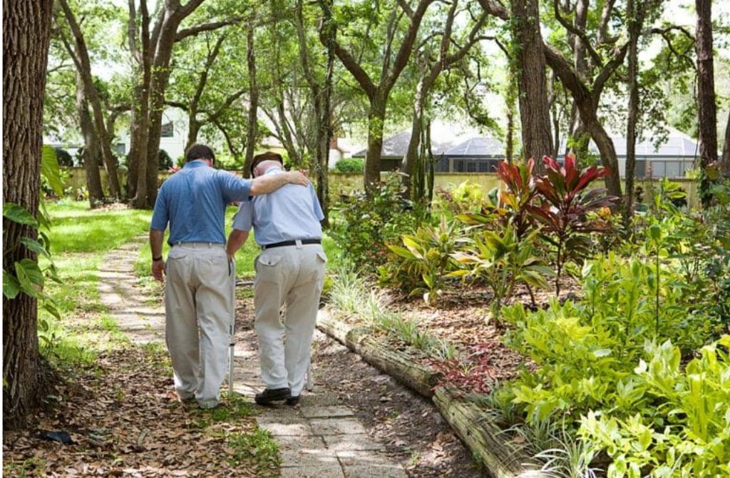 A Walk in a Botanical Garden