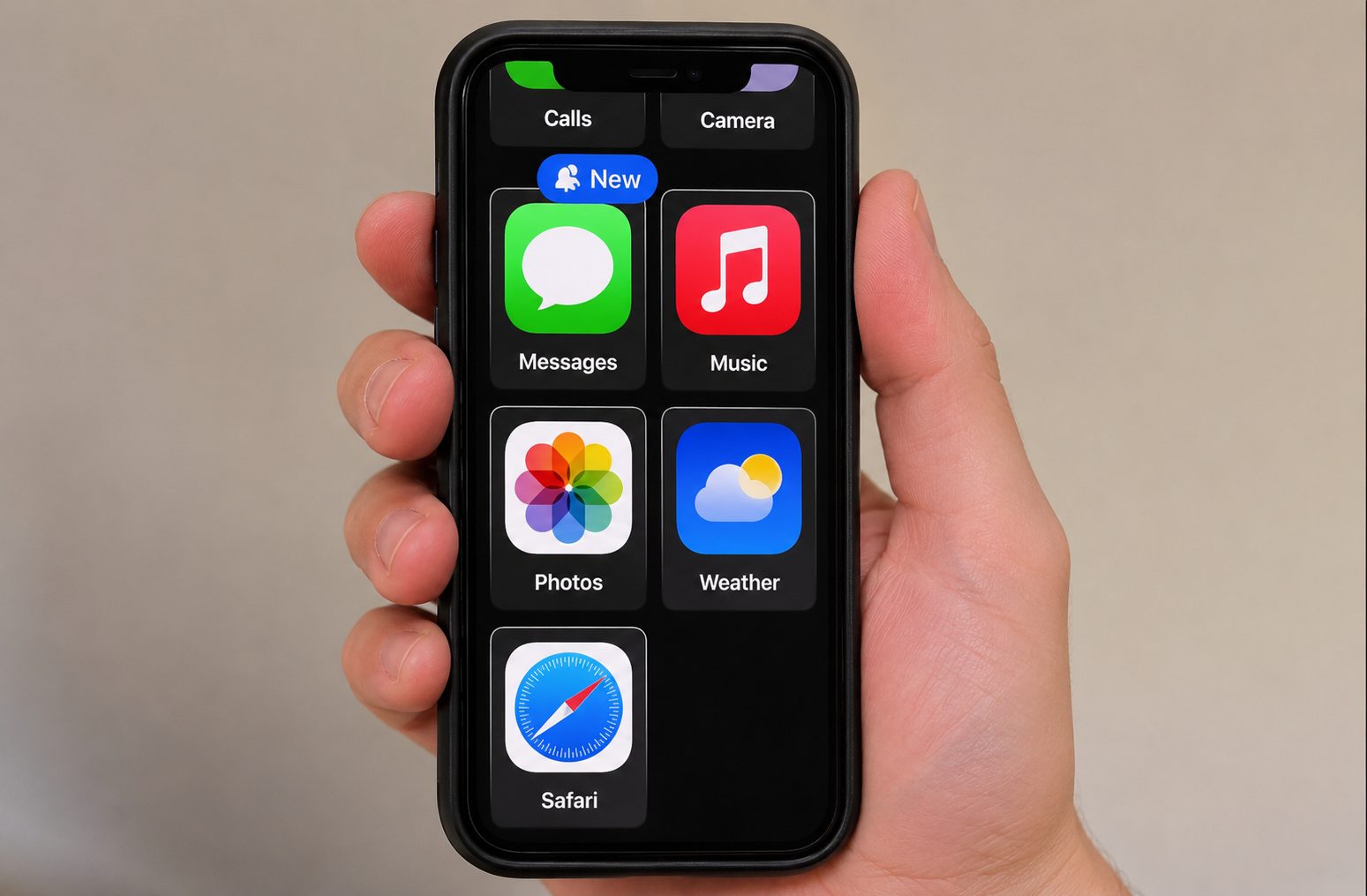 Apple iPhone With Assistive Settings