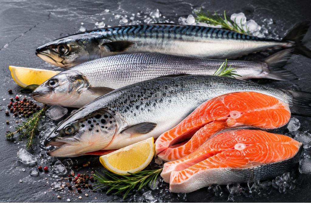 Fatty Fish