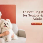 10 Best Dog Breeds for Seniors & Older Adults