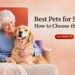 Best Pets for Seniors: How to Choose the Right One